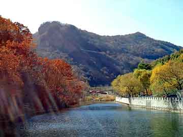 管家婆黑白马报图库，四川日报广告部电话